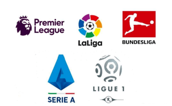 葡萄牙队的 葡萄牙队的